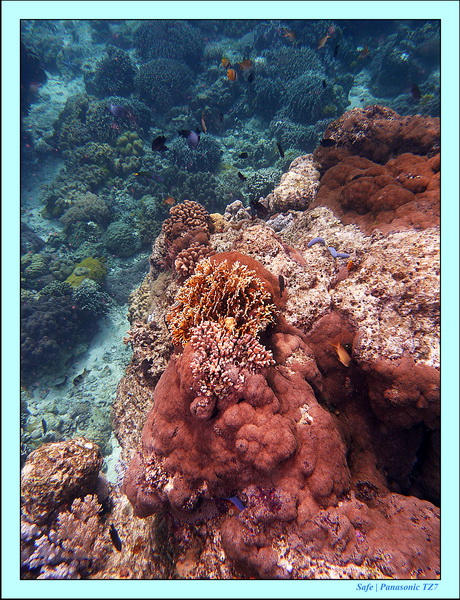 2012 - 07 - Apoh Island 58